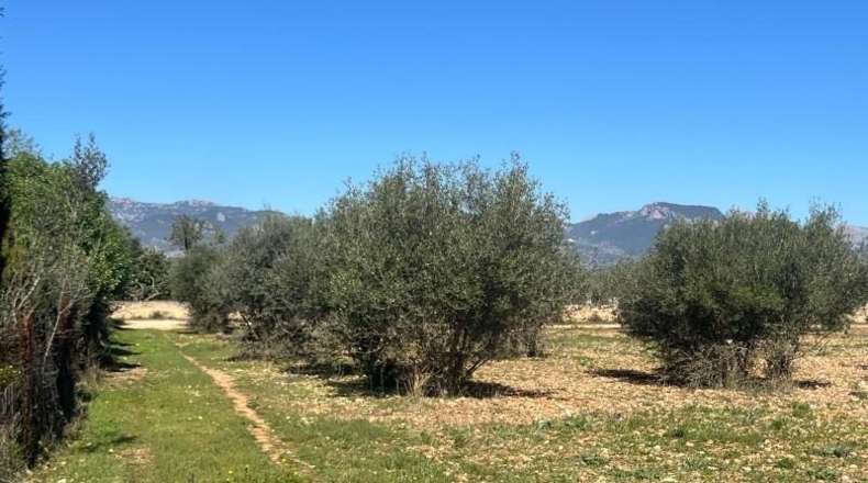 La Coruña - Frades - 3579m2