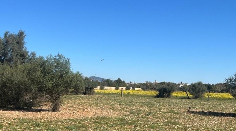 La Coruña - Frades - 3579m2