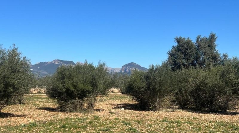 La Coruña - Frades - 3579m2