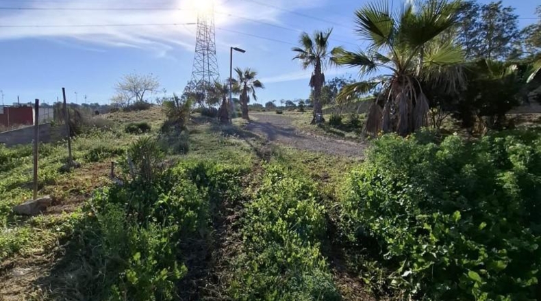 Alicante - Rojales - 322m2