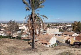 Rojals 322&nbsp;m² 