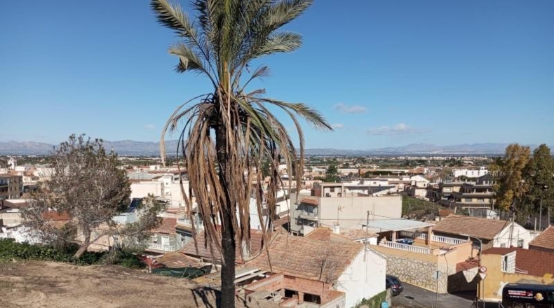 Alicante - Rojales - 322m2