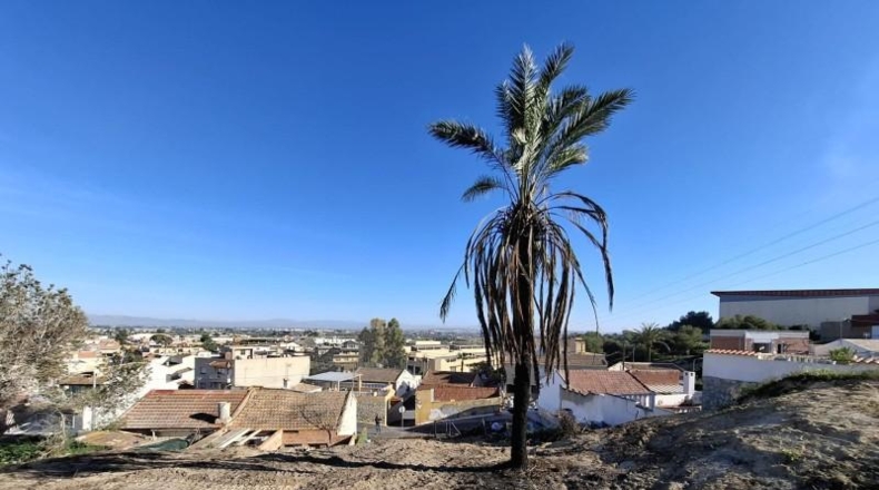 Alicante - Rojales - 322m2
