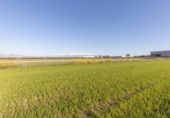 Non-developable land for sale on España, Chauchina, ref: TR395201 photo