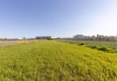 Non-developable land for sale on España, Chauchina, ref: TR395201 photo