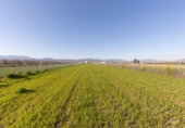 Non-developable land for sale on España, Chauchina, ref: TR395201 photo
