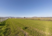 Non-developable land for sale on España, Chauchina, ref: TR395201 photo