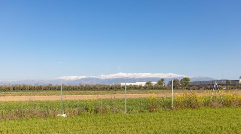 Granada - Chauchina - 4197m2