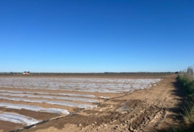 Utrera 28000&nbsp;m² 