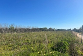 Utrera 28000&nbsp;m² 