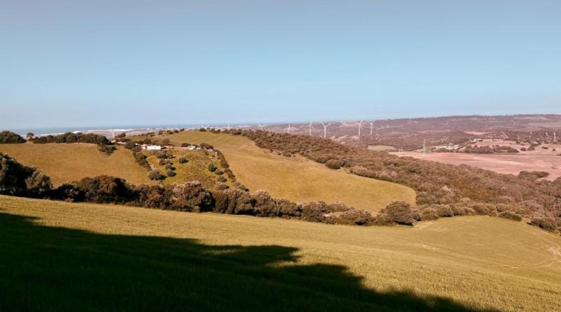 Cádiz - Vejer de la Frontera - 29000m2