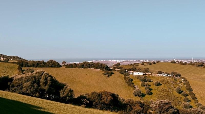 Cádiz - Vejer de la Frontera - 29000m2