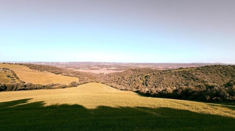 Cádiz - Vejer de la Frontera - 29000m2