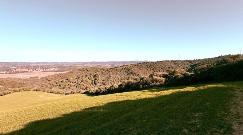 Cádiz - Vejer de la Frontera - 29000m2