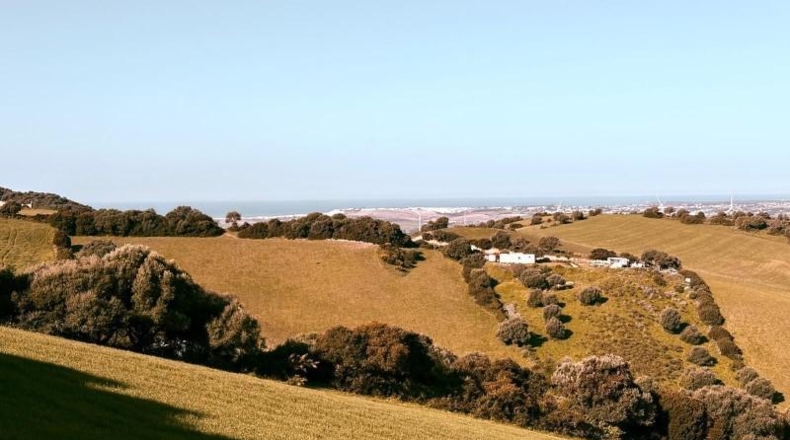 Cádiz - Vejer de la Frontera - 29000m2