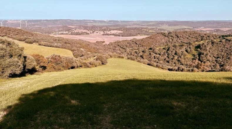 Cádiz - Vejer de la Frontera - 29000m2