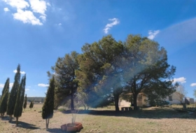 Almansa 67300&nbsp;m²