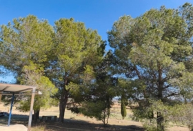 Almansa 67300&nbsp;m²