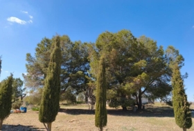 Almansa 67300&nbsp;m²