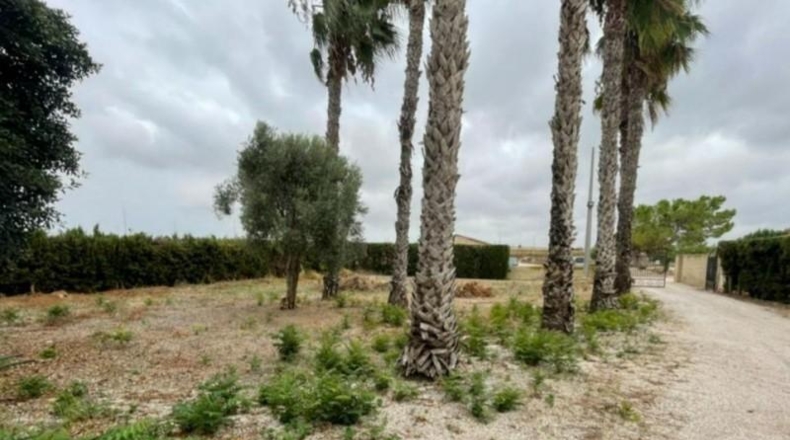Alicante - Rojales - 126m2