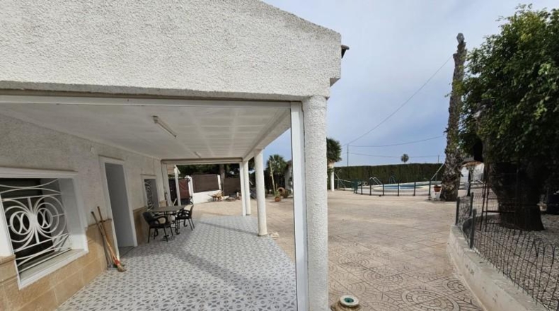 Alicante - Dolores - 8000m2