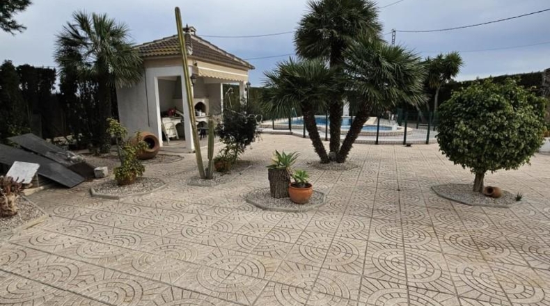 Alicante - Dolores - 8000m2