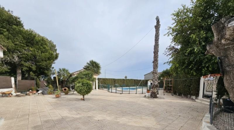 Alicante - Dolores - 8000m2