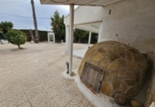Finca rústica en venda a la España, Dolores, ref.: TR395316 foto