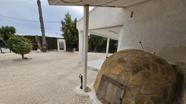 Alicante - Dolores - 8000m2