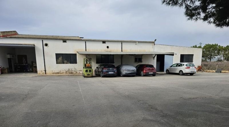Alicante - Dolores - 8000m2