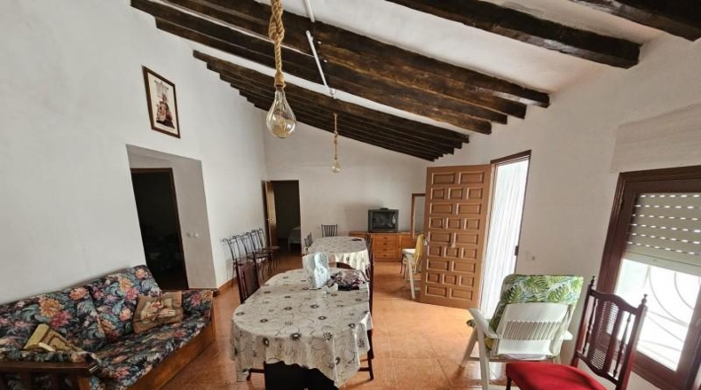 Alicante - Dolores - 8000m2