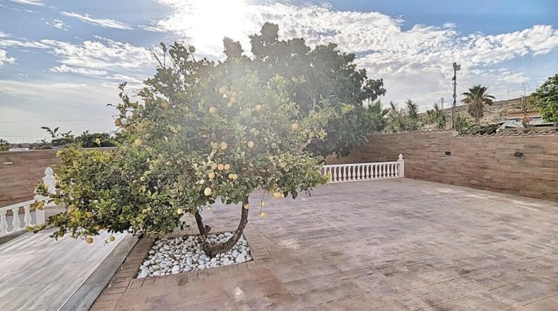 Alicante - Torrellano - 260m2