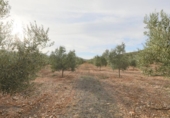 Non-developable land for sale on España, Cozvíjar, ref: TR395185 photo