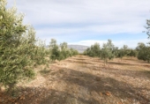 Non-developable land for sale on España, Cozvíjar, ref: TR395185 photo