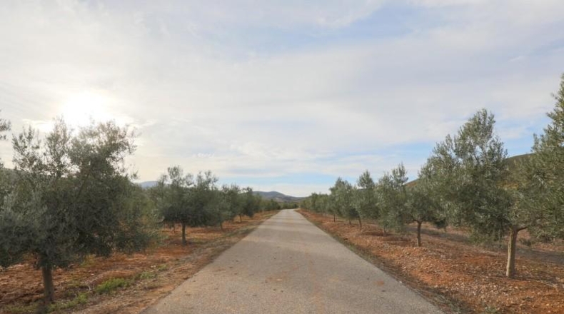 Granada - Cozvíjar - 160000m2
