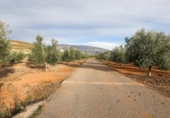 Non-developable land for sale on España, Cozvíjar, ref: TR395185 photo