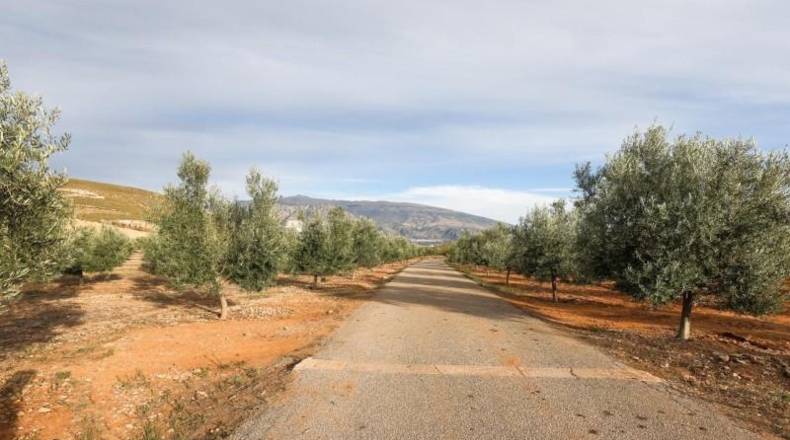 Granada - Cozvíjar - 160000m2
