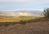 Non-developable land for sale on España, Cozvíjar, ref: TR395185 photo