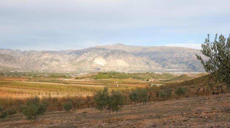 Granada - Cozvíjar - 160000m2