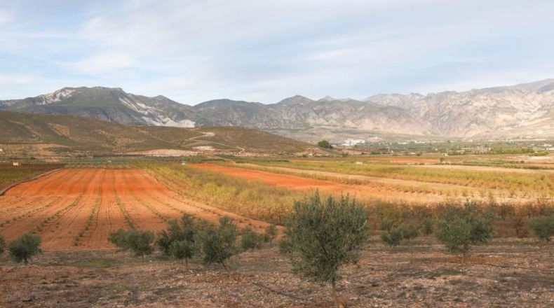Granada - Cozvíjar - 160000m2