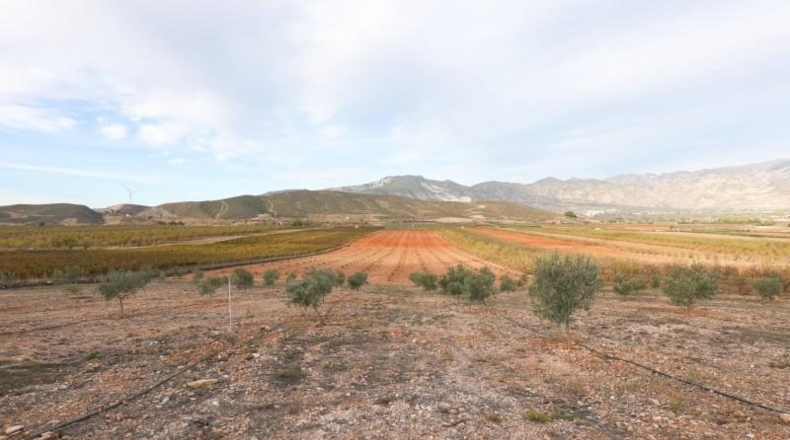 Granada - Cozvíjar - 160000m2
