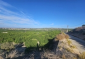 Non-developable land for sale on España, Bigastro, ref: TR395184 photo