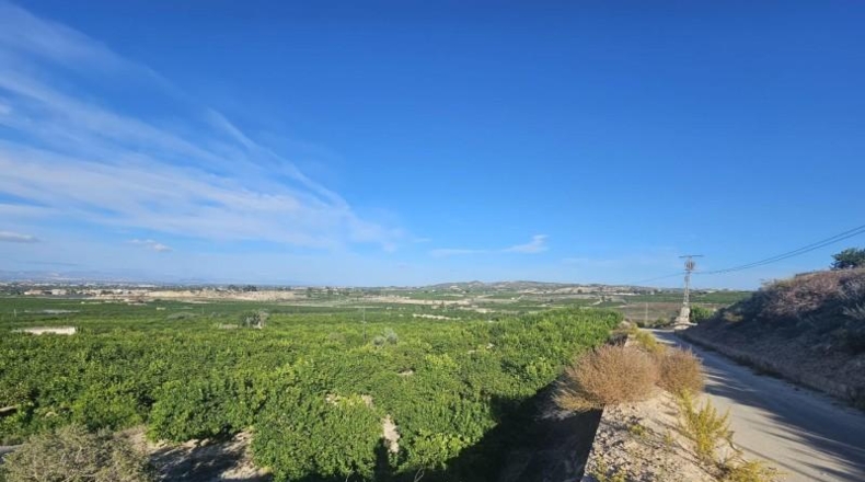 Alicante - Bigastro - 85000m2