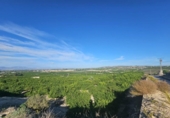 Non-developable land for sale on España, Bigastro, ref: TR395184 photo