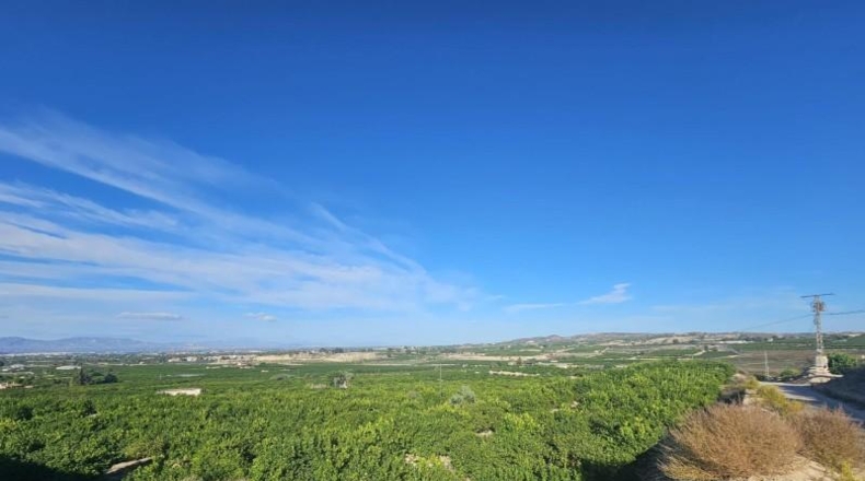 Alicante - Bigastro - 85000m2