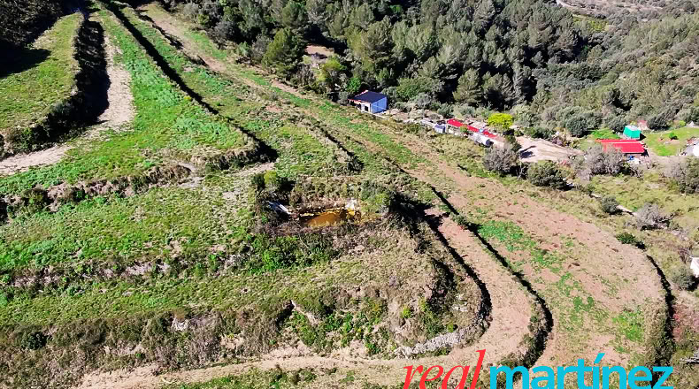 Alicante - Jalón - 34000m2
