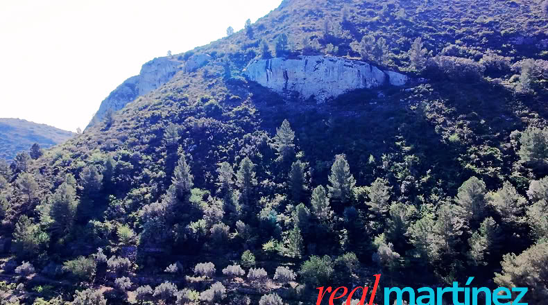 Alicante - Jalón - 34000m2