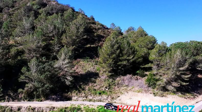 Alicante - Jalón - 34000m2
