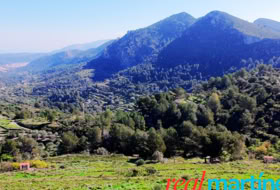 Xaló 34000&nbsp;m² 