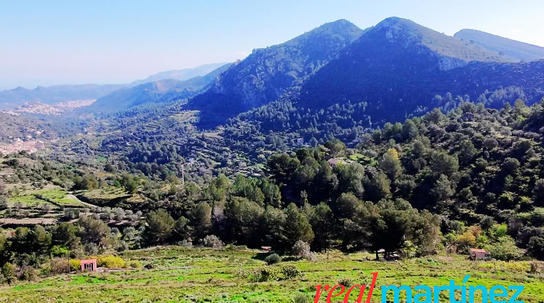 Alicante - Jalón - 34000m2